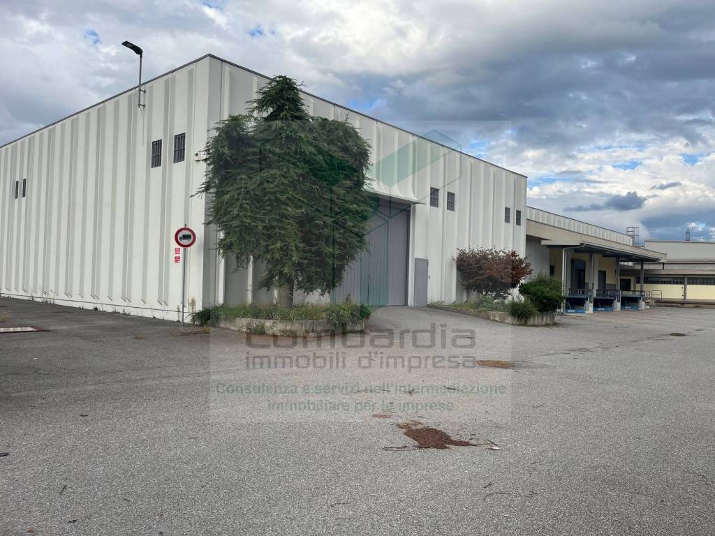 immagine annuncio 3 di 14