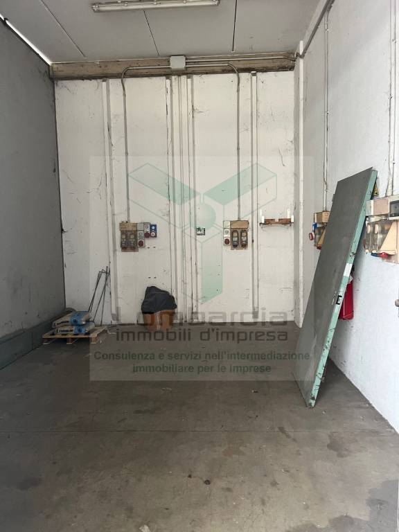 immagine annuncio 9 di 14