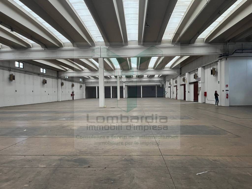 immagine annuncio 1 di 14