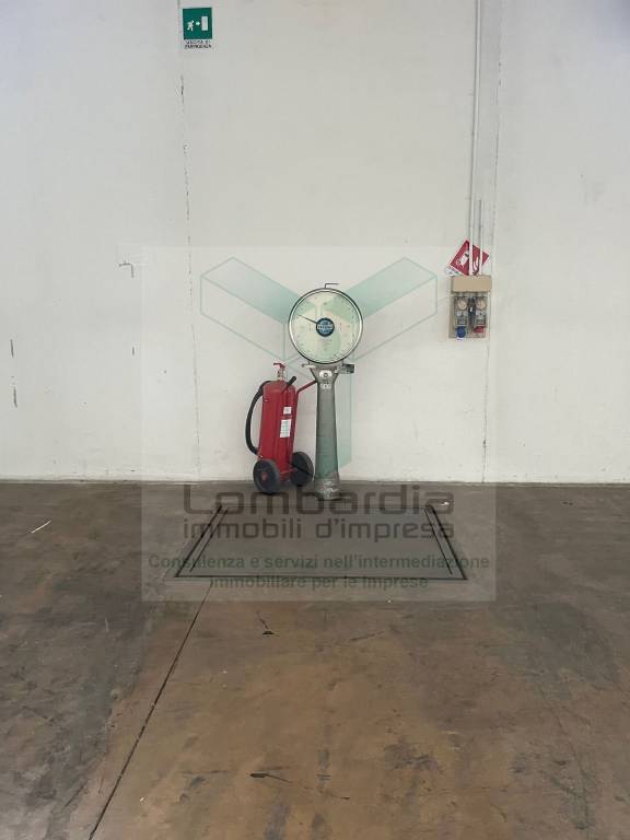 immagine annuncio 10 di 14