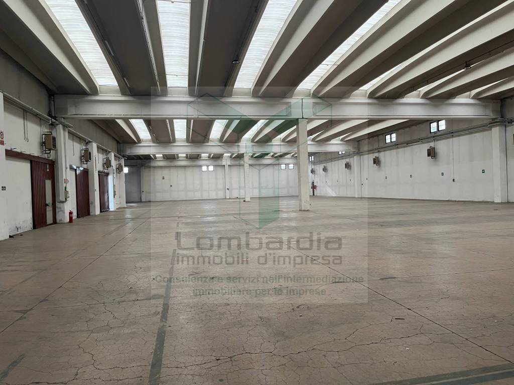 immagine annuncio 2 di 14