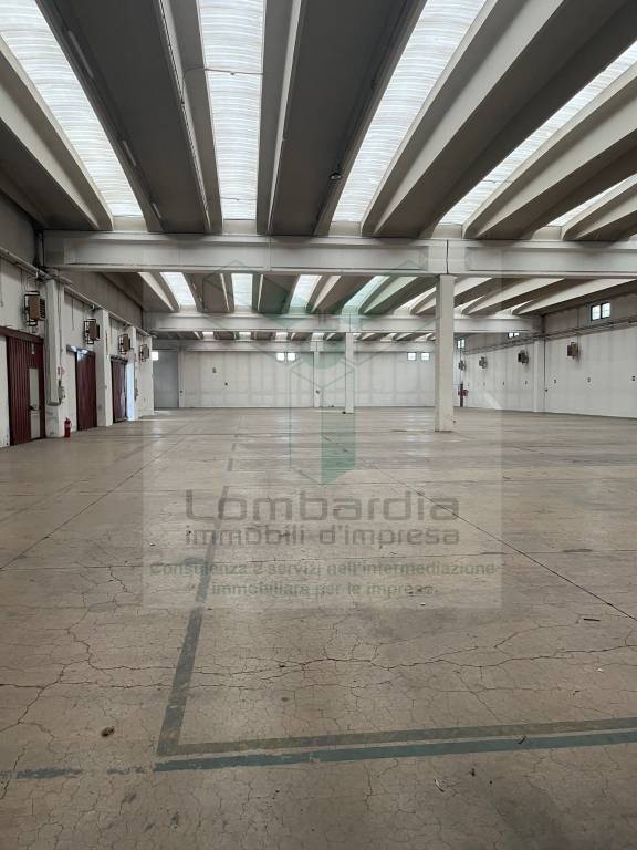 immagine annuncio 13 di 14