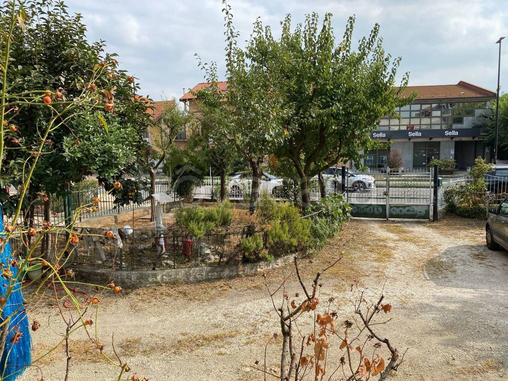 immagine annuncio 7 di 15