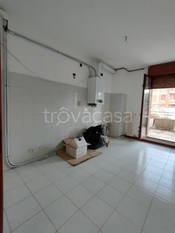 immagine annuncio 4 di 12