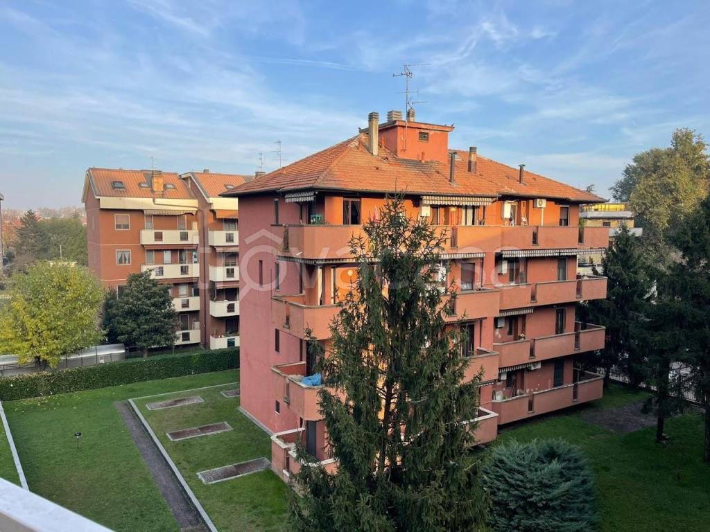 immagine annuncio 10 di 15