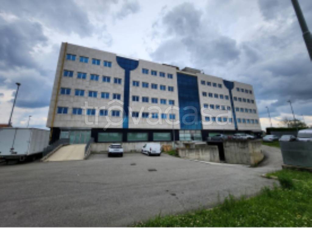 immagine annuncio 2 di 11
