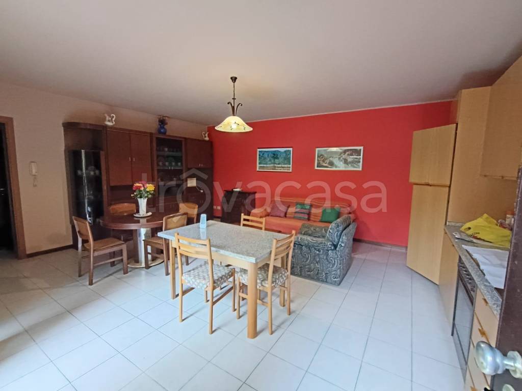 immagine annuncio 3 di 14