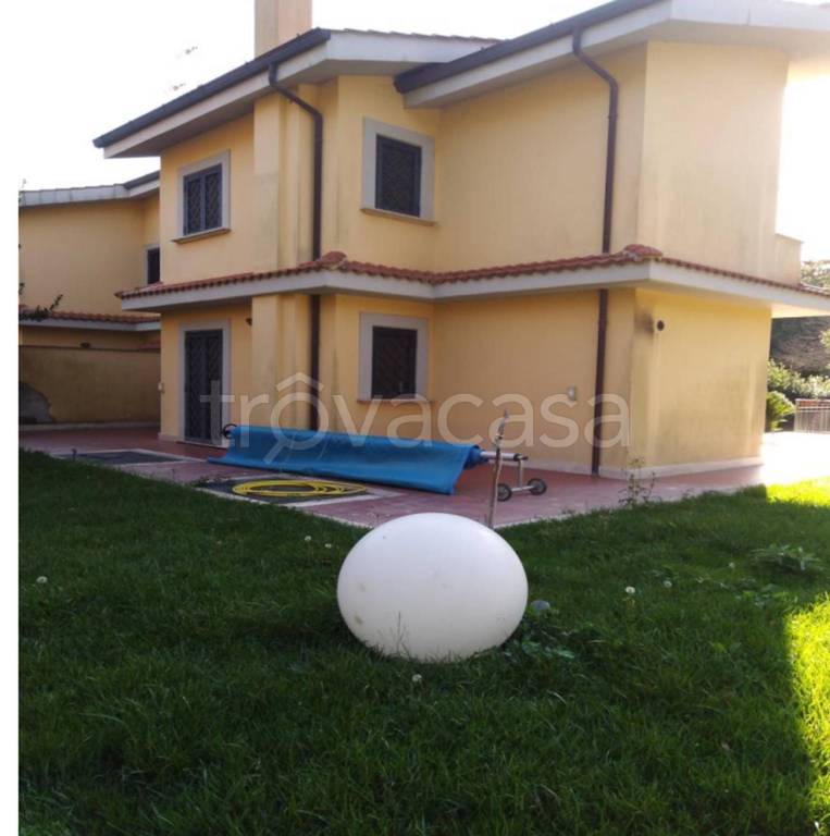 immagine annuncio 4 di 10
