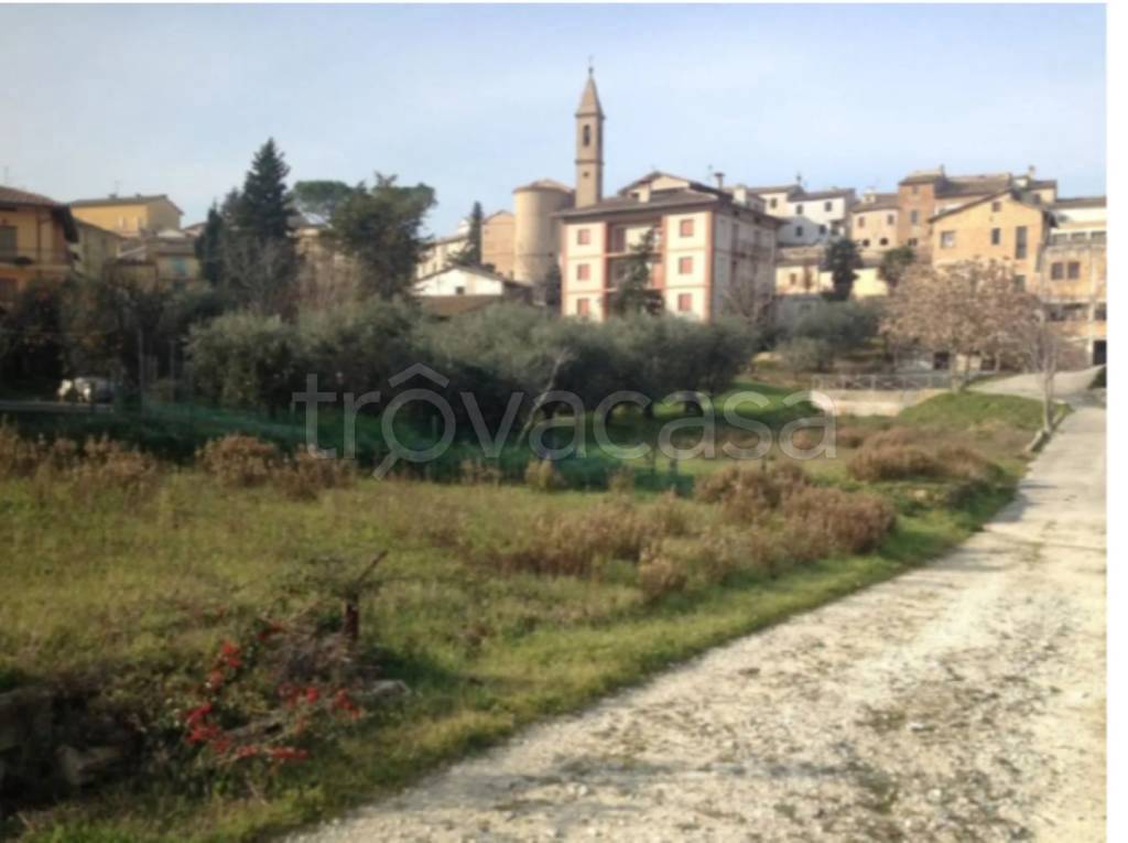 immagine annuncio 7 di 13