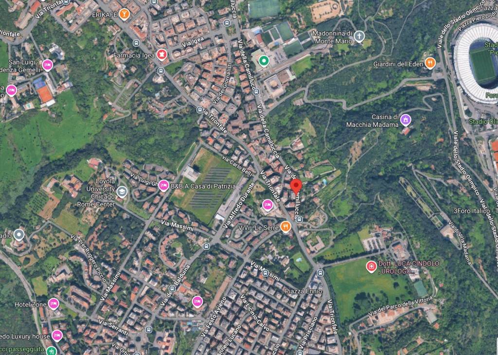 immagine annuncio 7 di 10