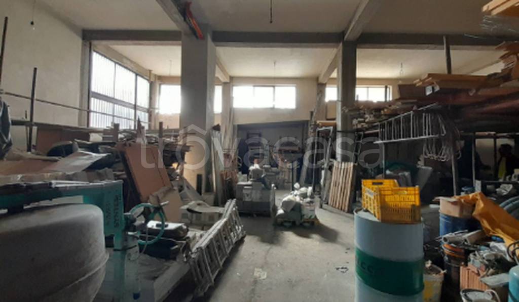 immagine annuncio 7 di 12