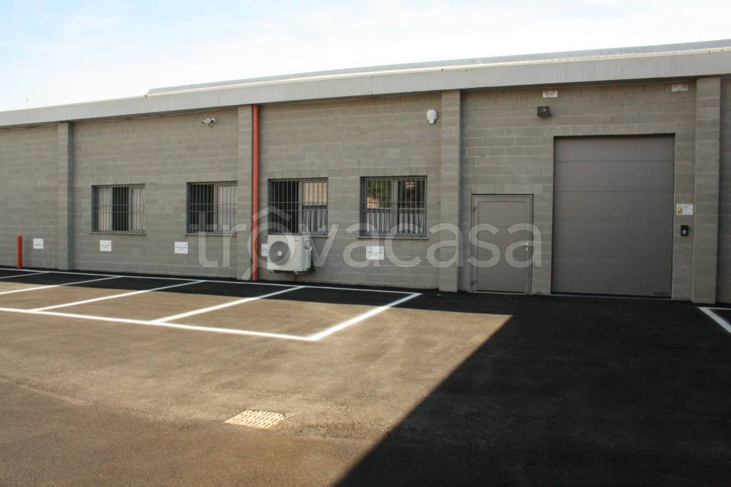 immagine annuncio 12 di 15