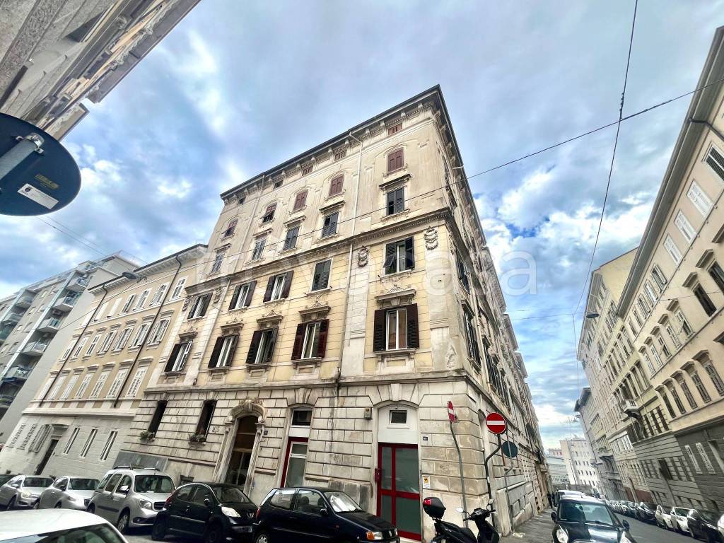 immagine annuncio 12 di 13
