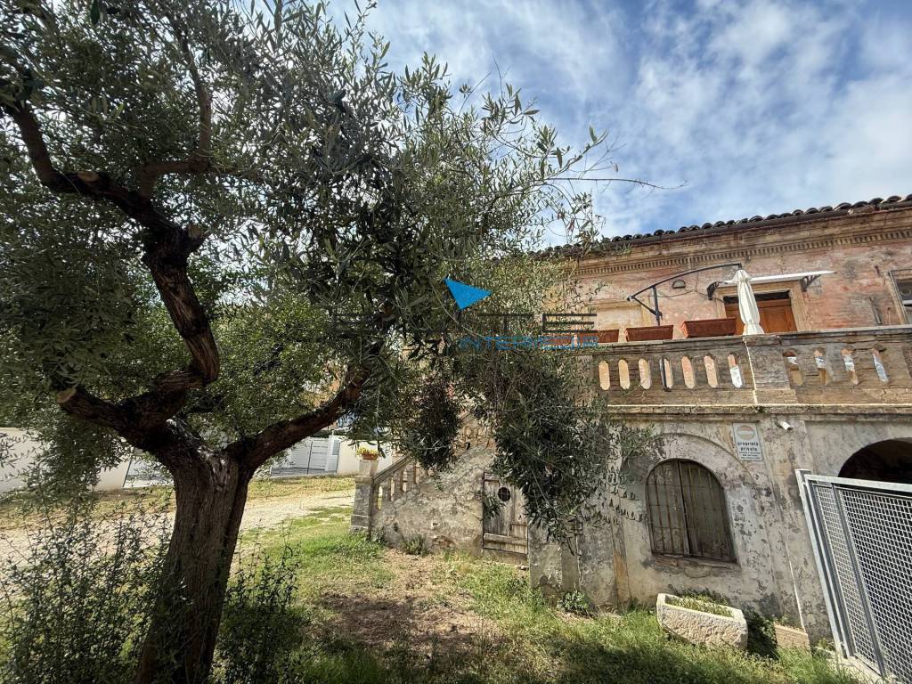 immagine annuncio 1 di 7