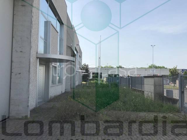 immagine annuncio 8 di 13