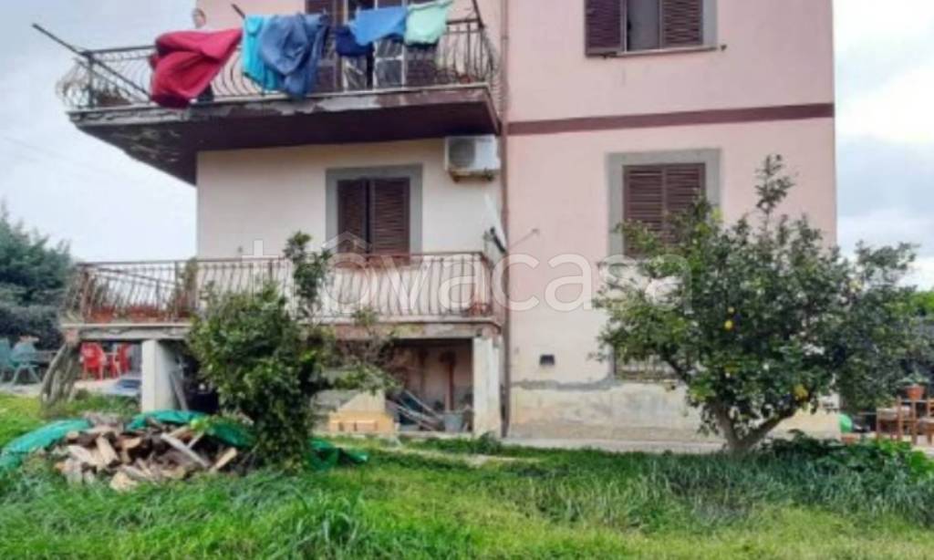 immagine annuncio 6 di 14