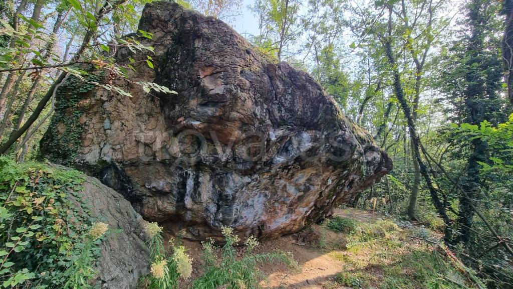 immagine annuncio 1 di 7