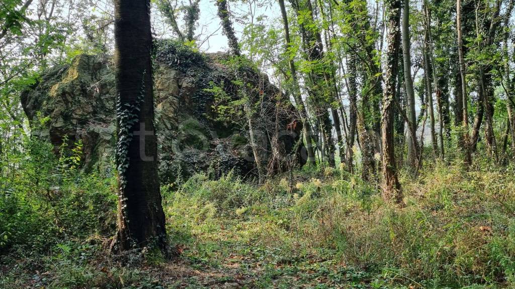 immagine annuncio 2 di 7