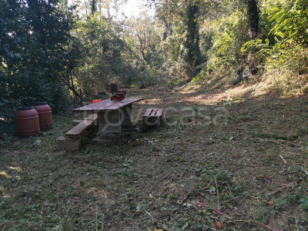 immagine annuncio 4 di 7