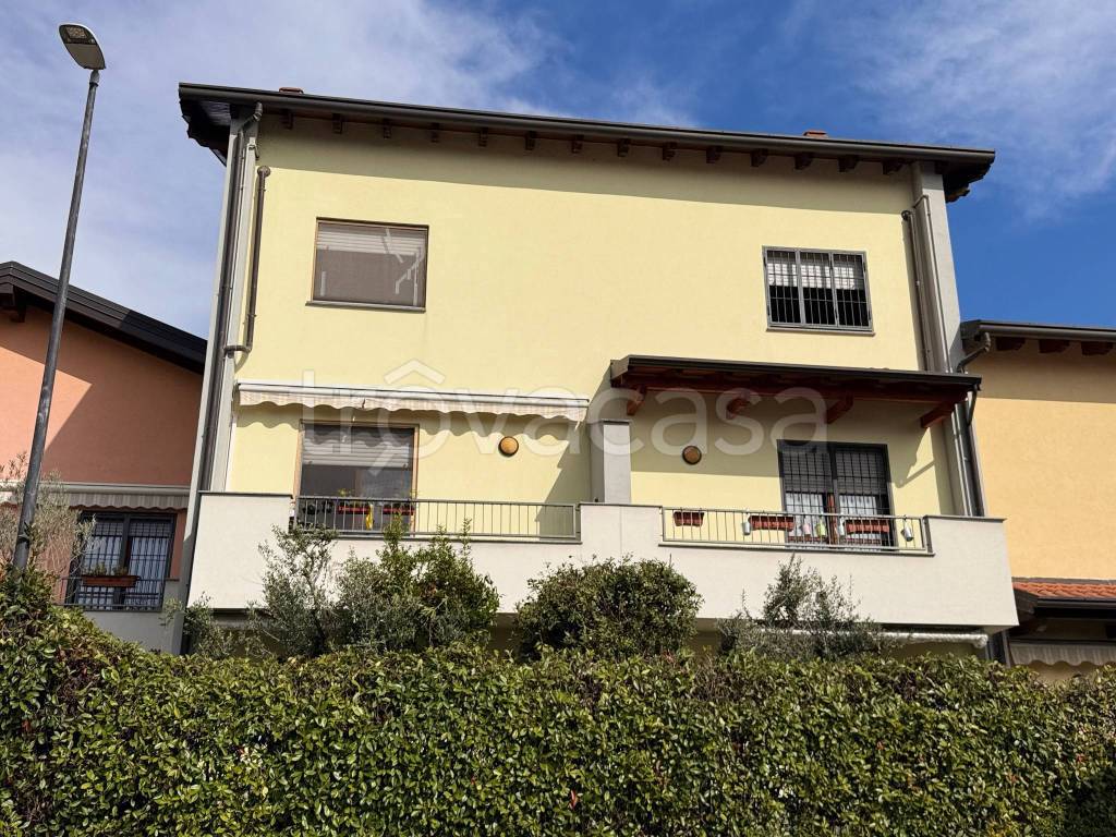 immagine annuncio 2 di 12