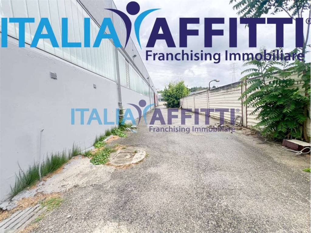 immagine annuncio 3 di 11