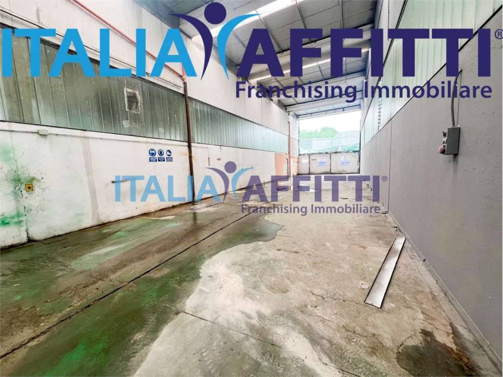 immagine annuncio 10 di 11