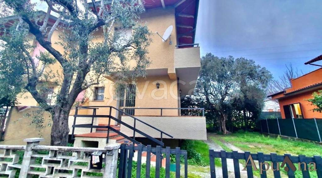 immagine annuncio 12 di 14