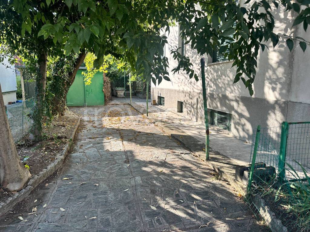 immagine annuncio 8 di 11