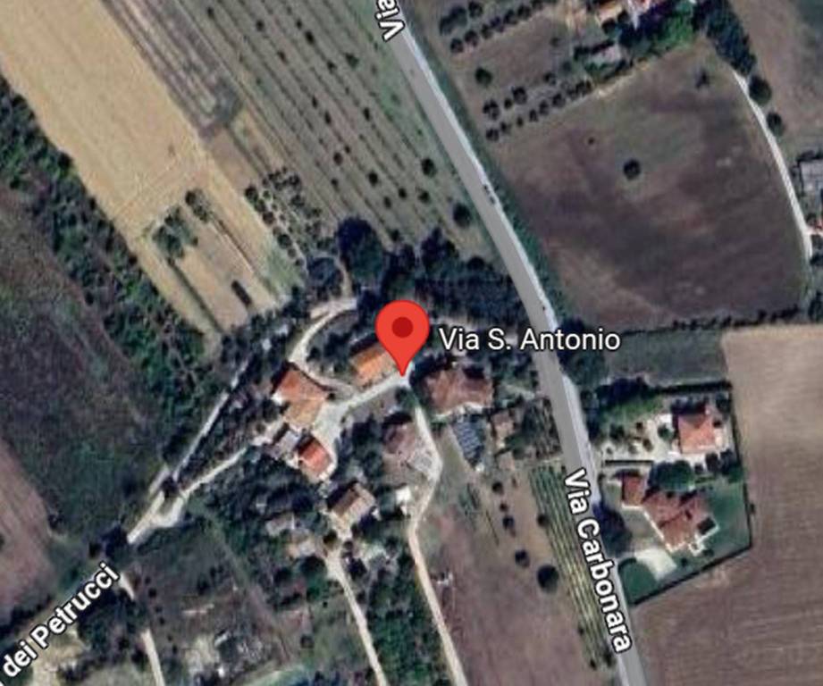 immagine annuncio 7 di 11