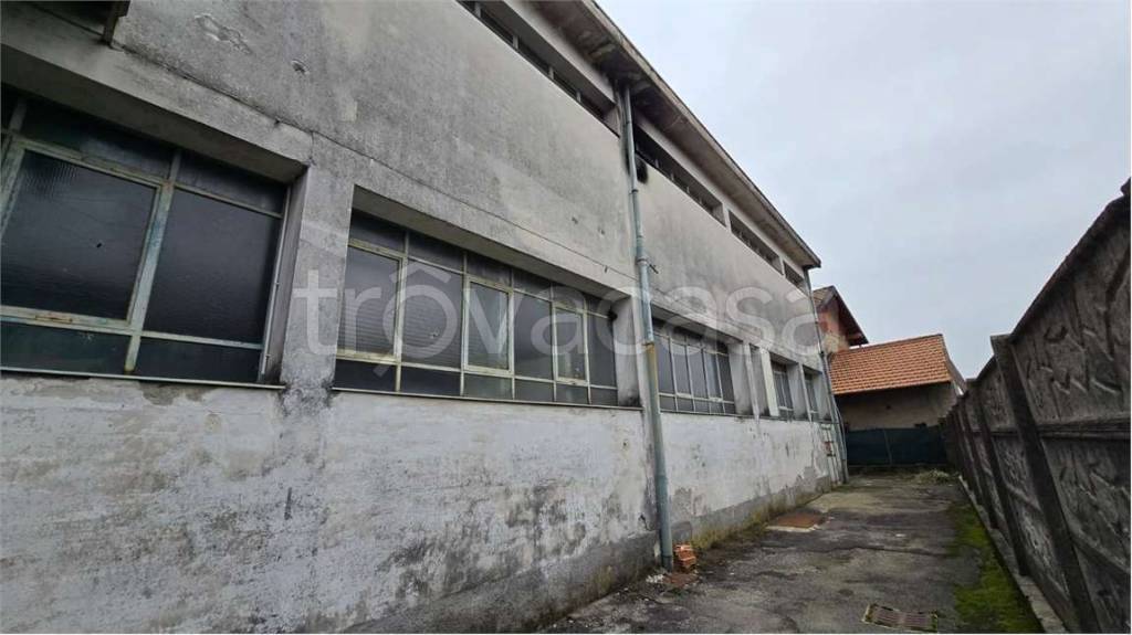 immagine annuncio 5 di 12