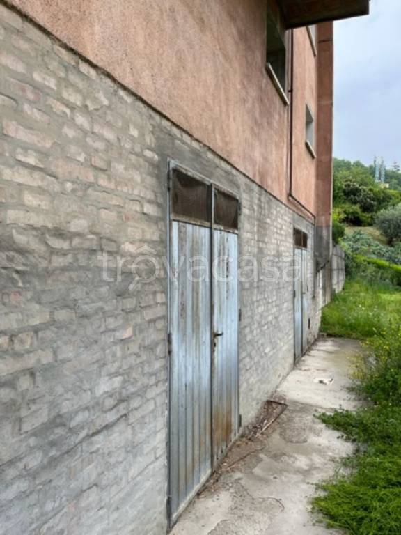 immagine annuncio 4 di 11