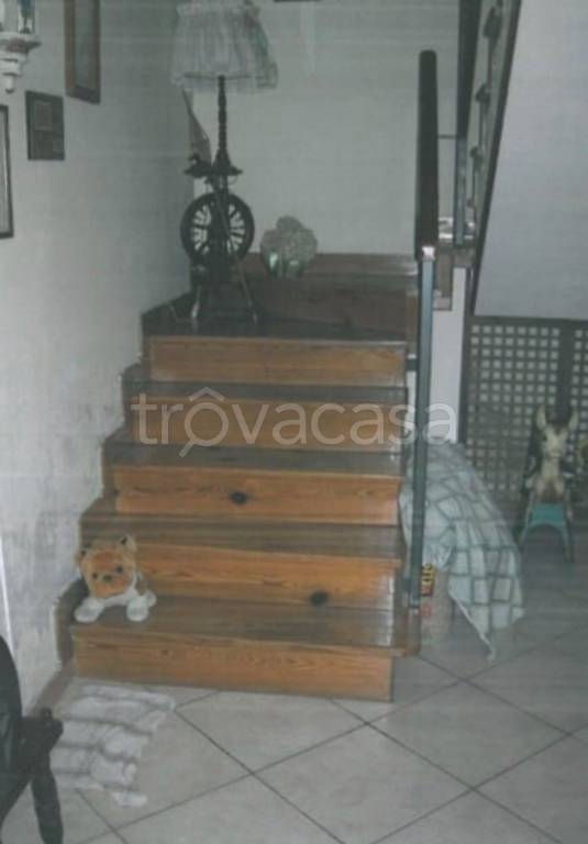 immagine annuncio 3 di 12