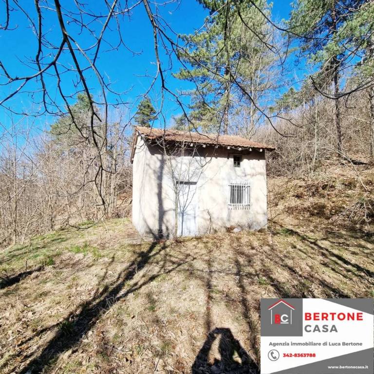 immagine annuncio 2 di 12