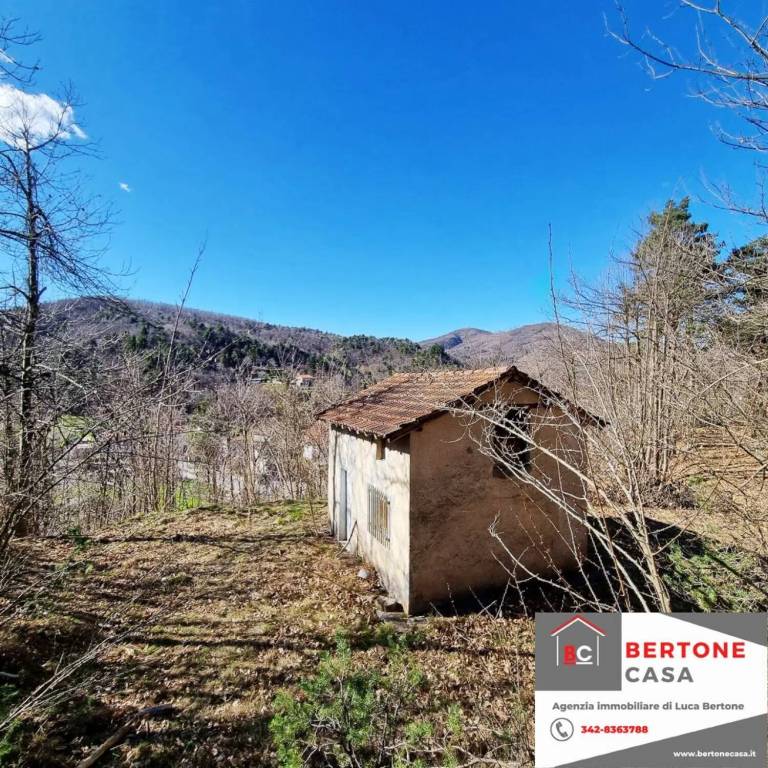 immagine annuncio 3 di 12