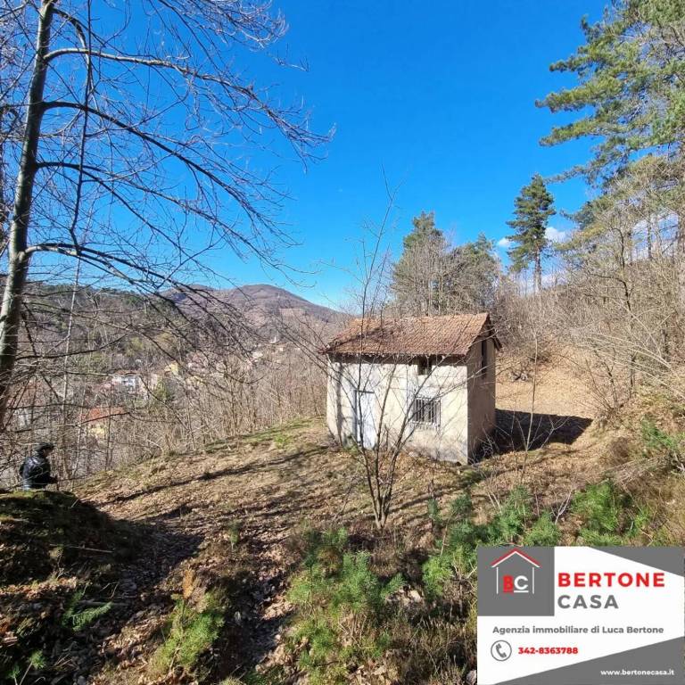 immagine annuncio 4 di 12