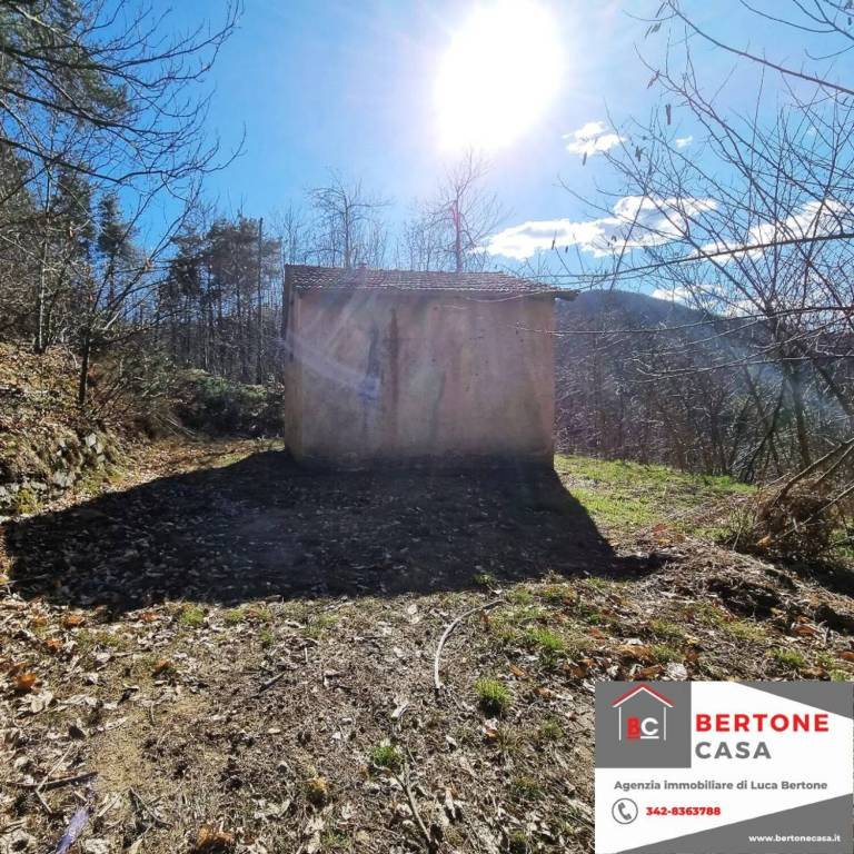 immagine annuncio 5 di 12