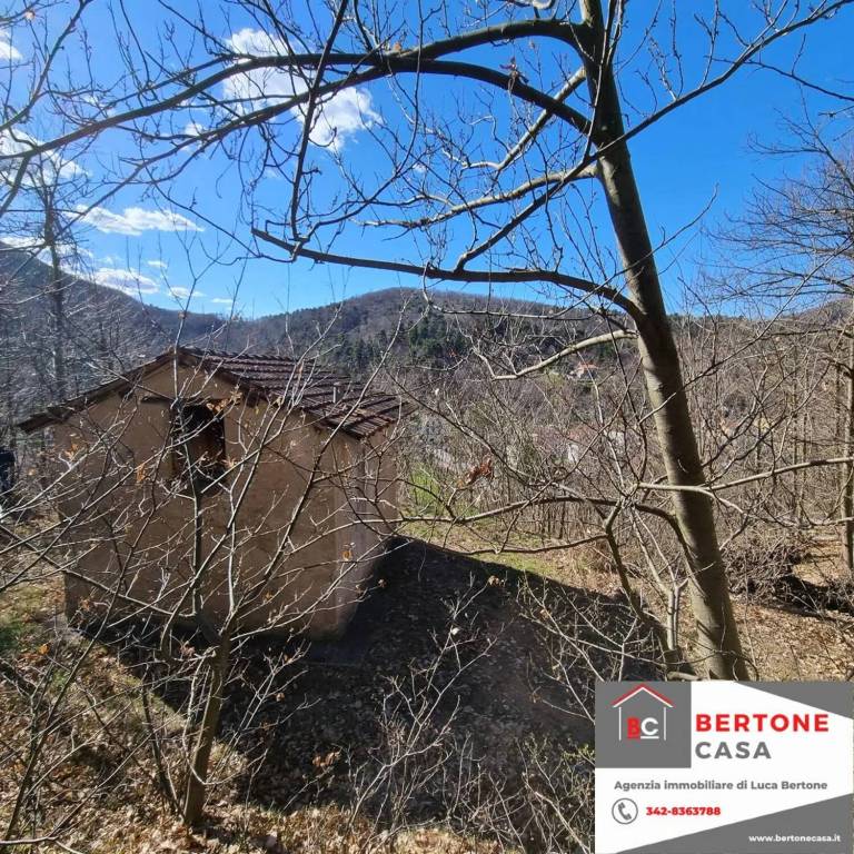 immagine annuncio 6 di 12