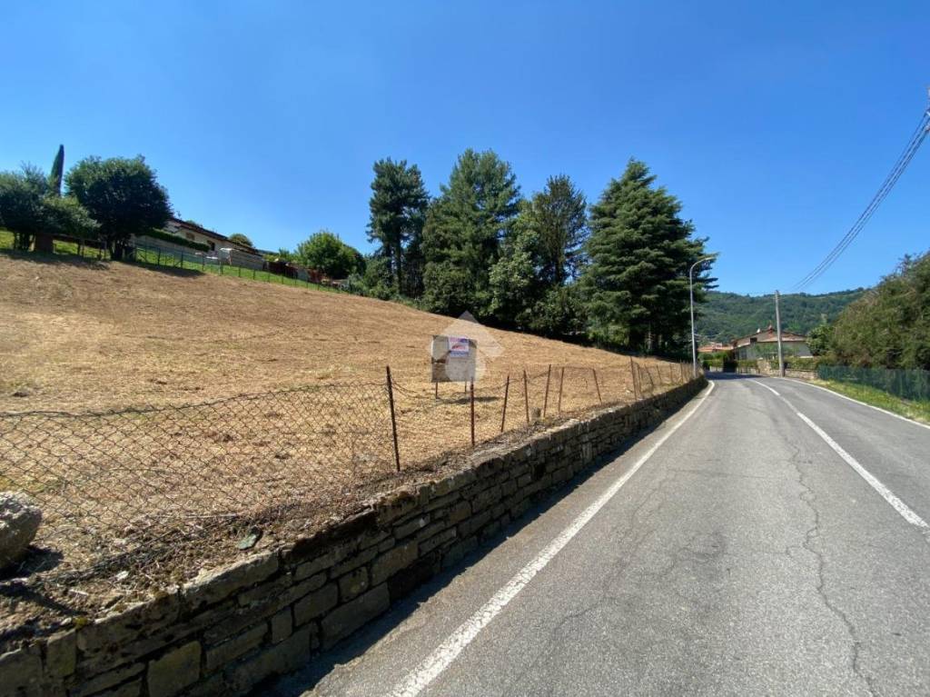 immagine annuncio 5 di 14