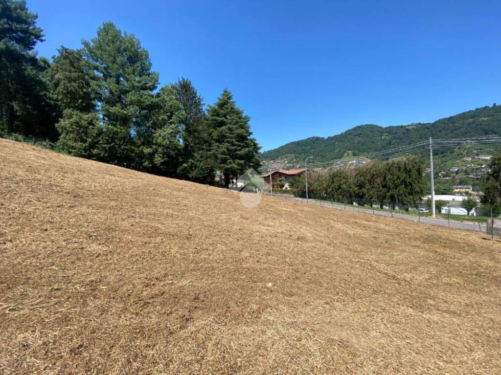 immagine annuncio 6 di 14