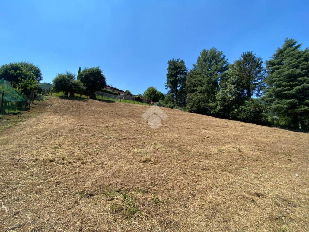 immagine annuncio 7 di 14