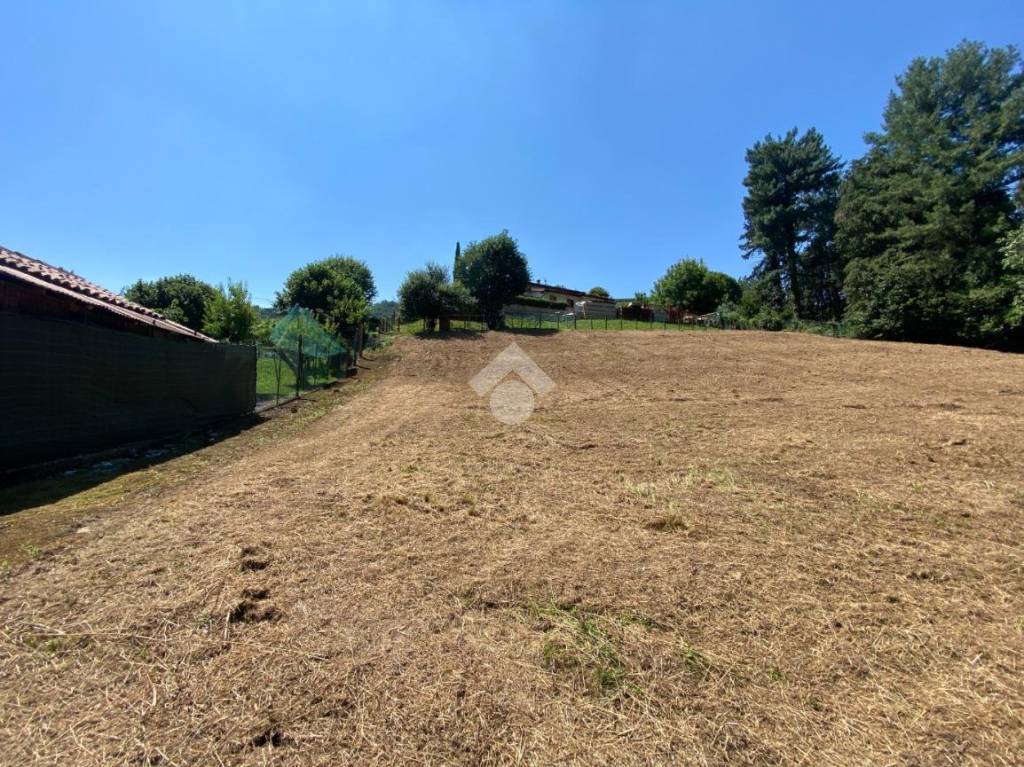 immagine annuncio 9 di 14