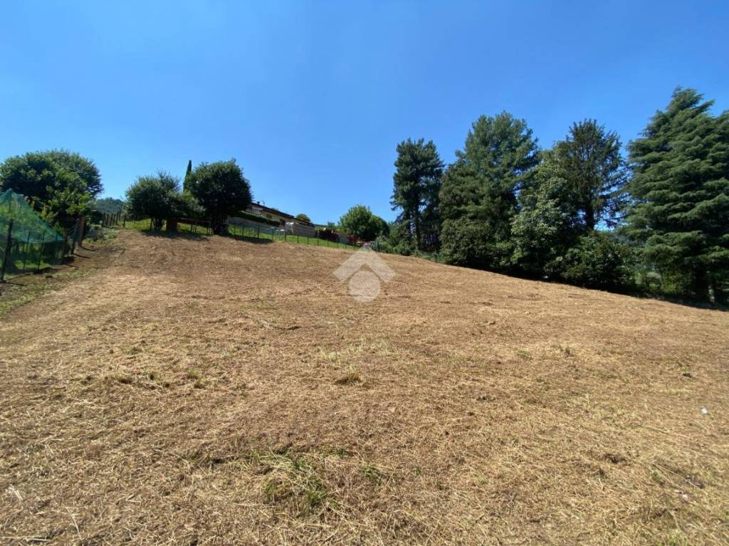 immagine annuncio 10 di 14