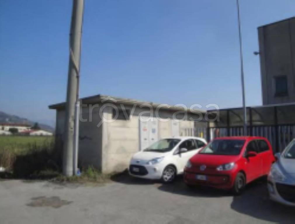 immagine annuncio 6 di 12