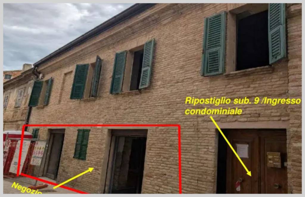 immagine annuncio 6 di 15