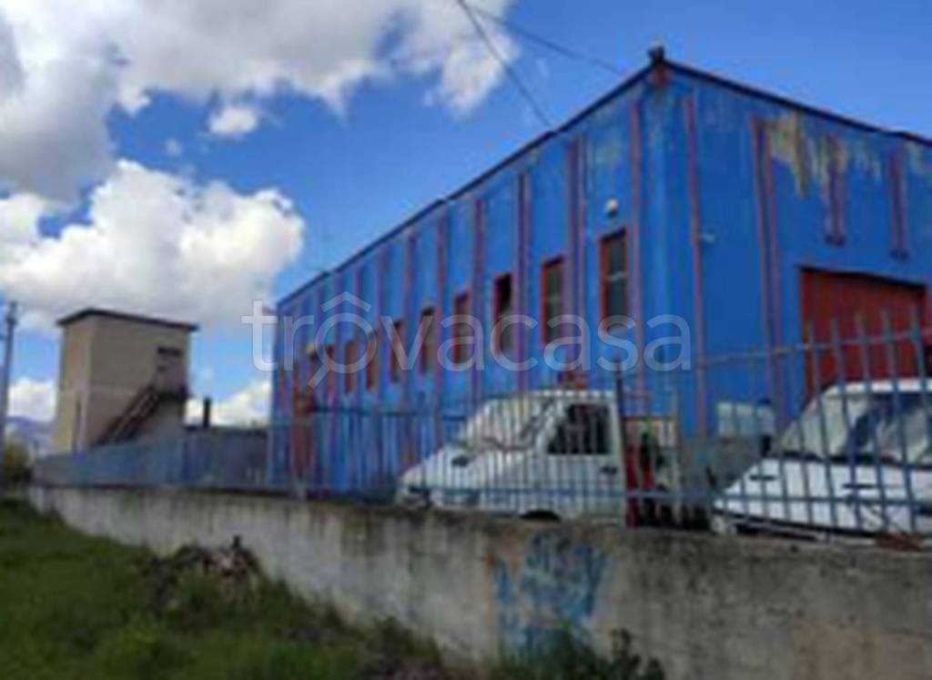 immagine annuncio 5 di 11