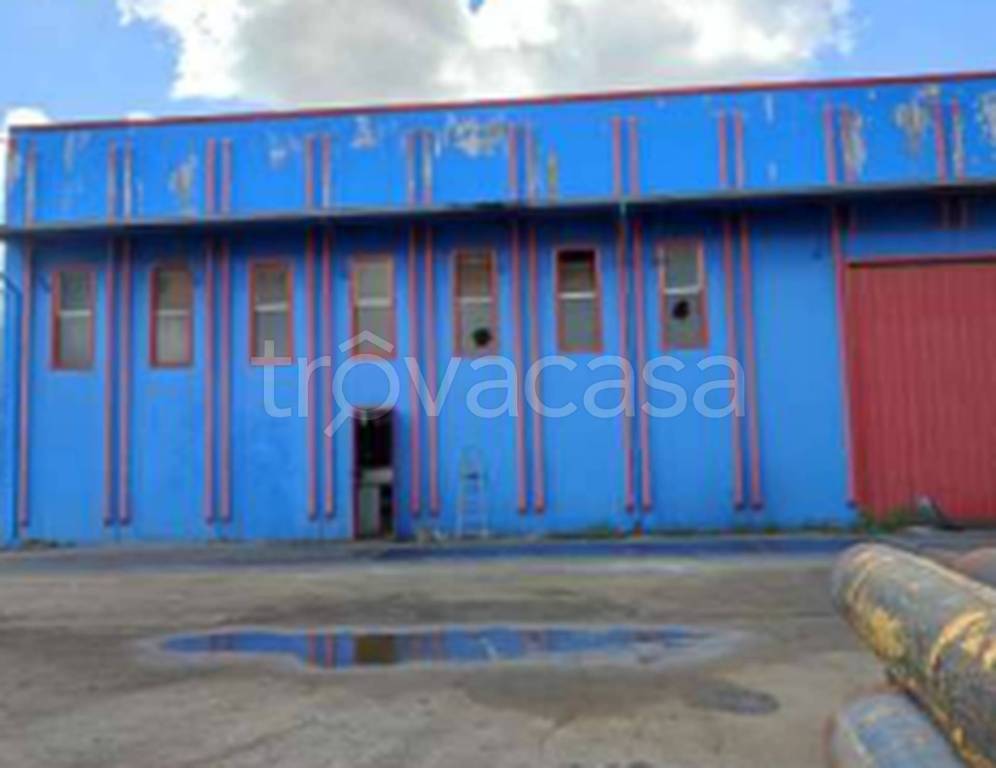 immagine annuncio 9 di 11