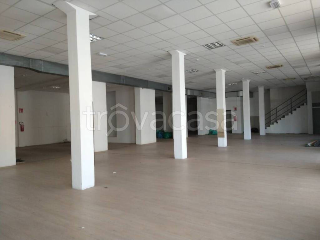 immagine annuncio 1 di 6