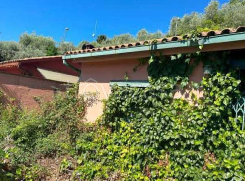 immagine annuncio 6 di 13