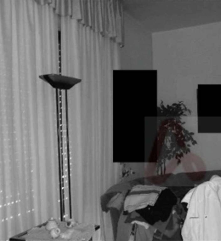 immagine annuncio 7 di 14