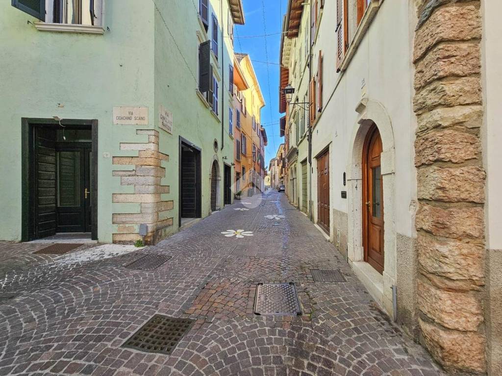 immagine annuncio 3 di 13